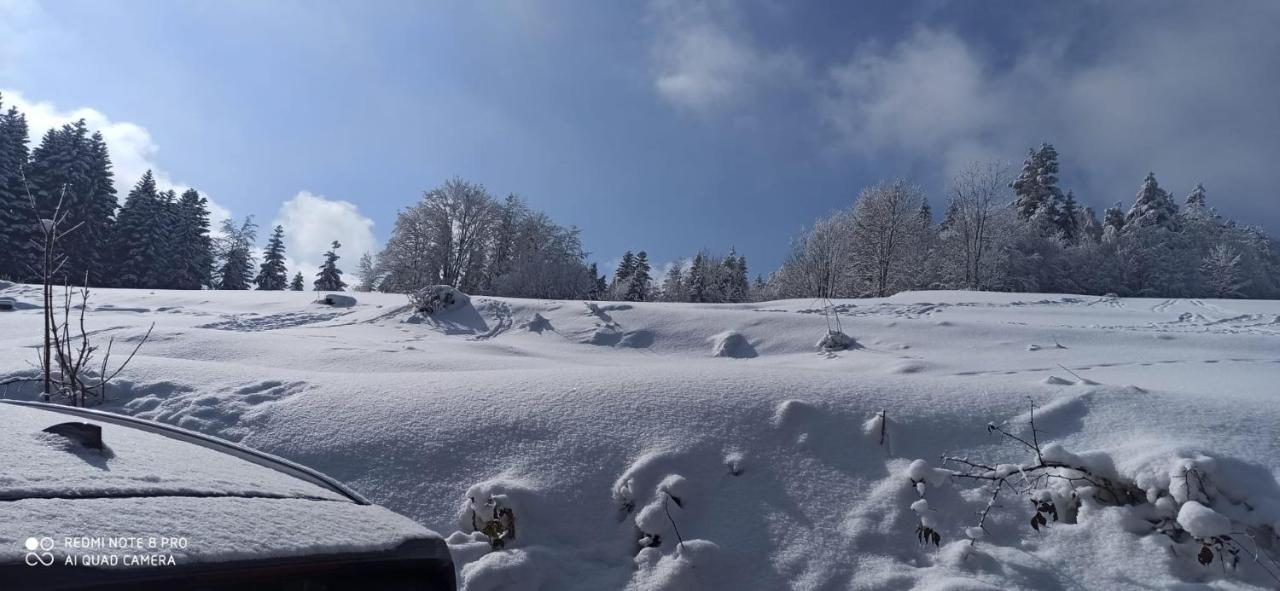 Chata Z Widokiem Na Babia Gore Pewel Wielka 외부 사진